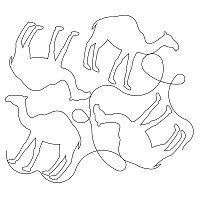 1hump camel e2e 002